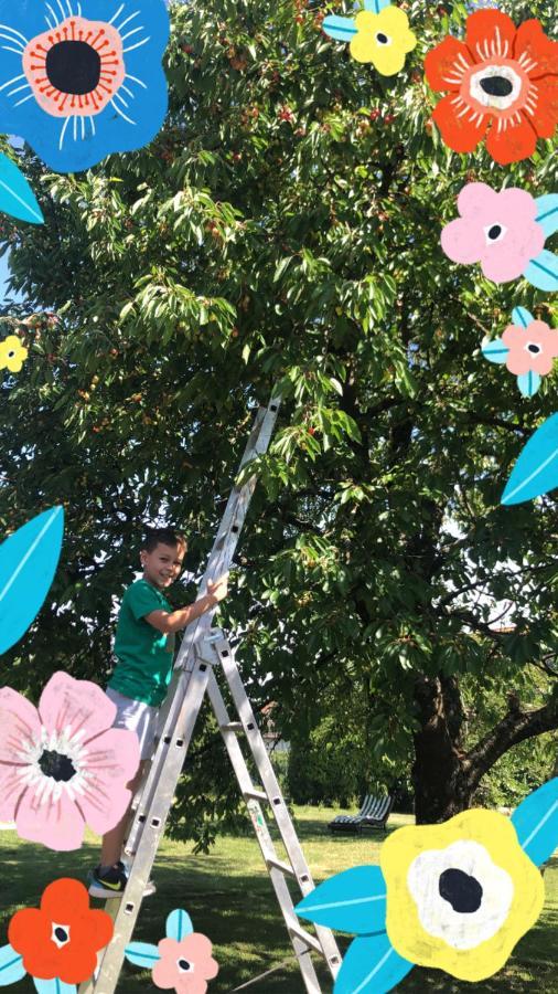 Ferien- Und Monteurswohnung Heilbrunnen Woerth am Rhein Zewnętrze zdjęcie